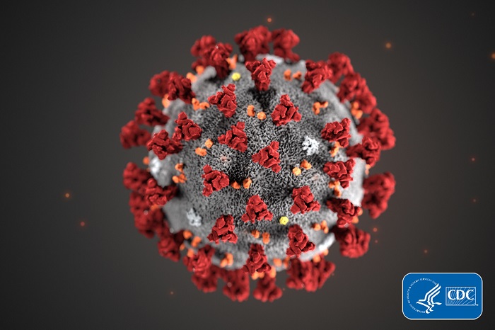 coronavirus