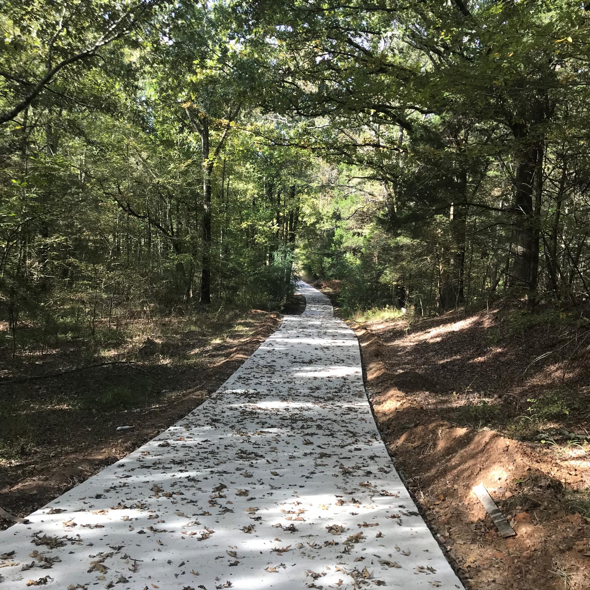 Renasant Park Trail Concrete Path