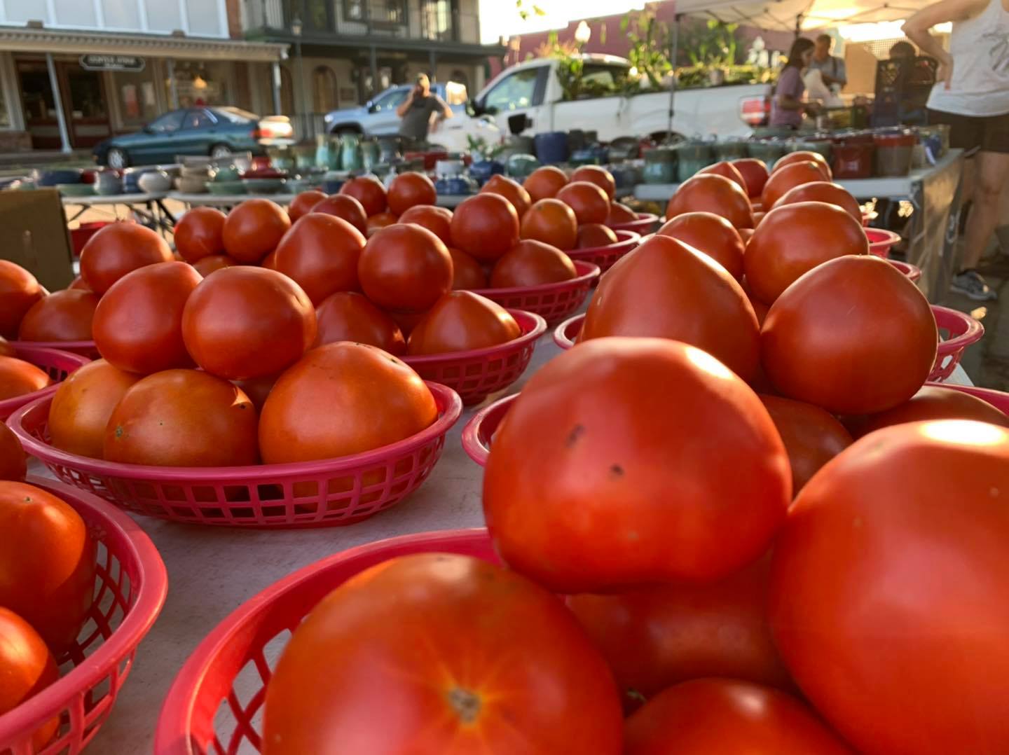 Clayton Farms Tomatoes