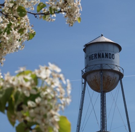 Hernando Water Tower (2)