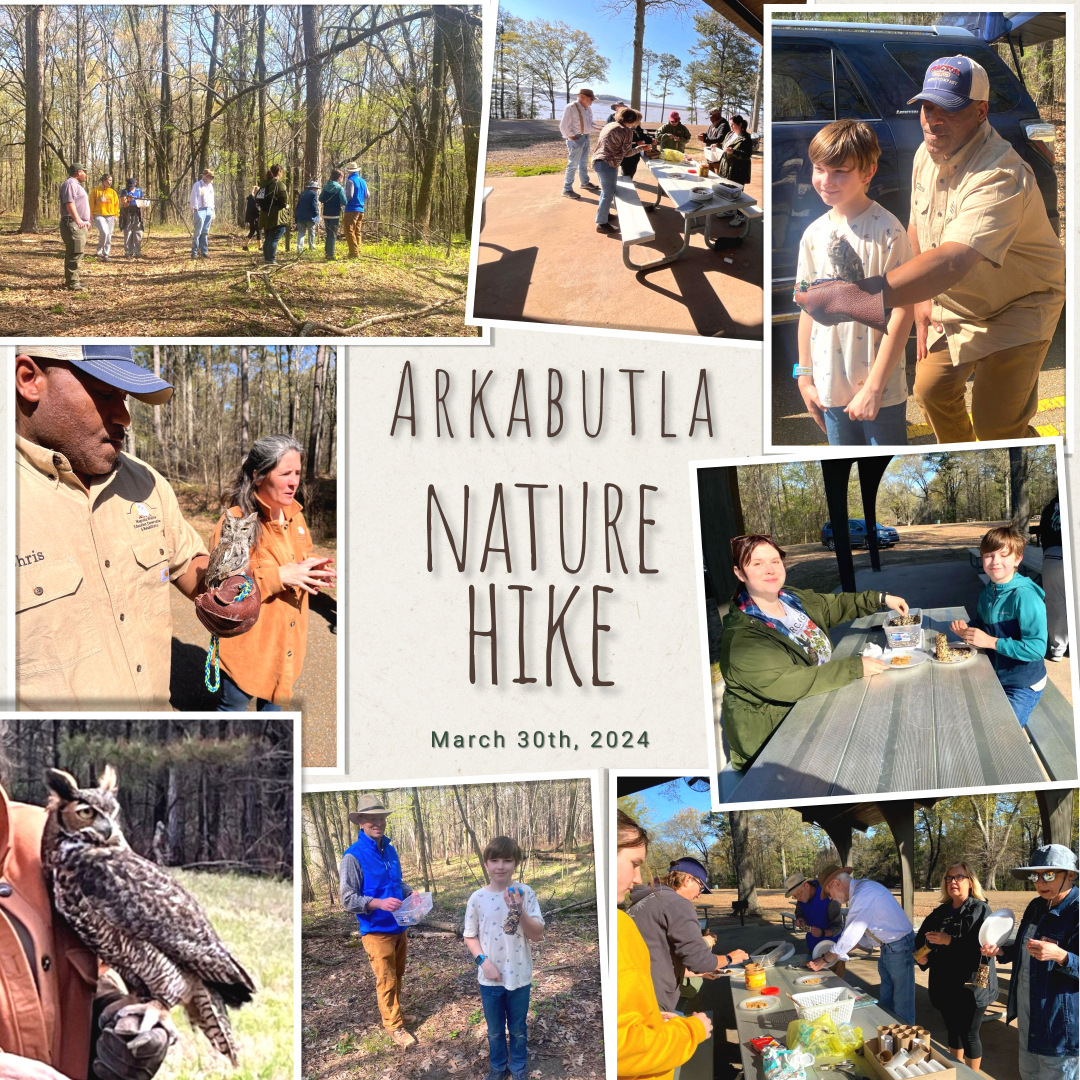 Hike March 2024 collage