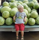 child at farmers market